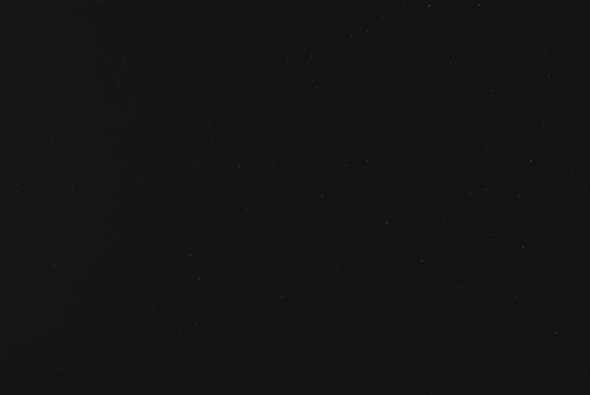 Mossy Oak Blades Camo Ring